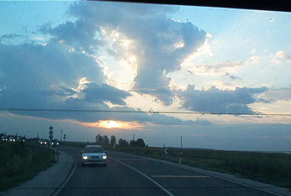 roste079.jpg