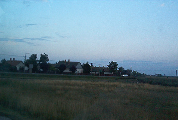 roste080.jpg