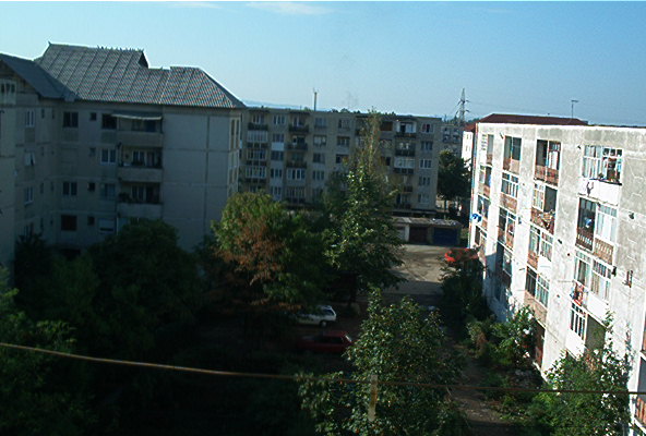 roste096.jpg