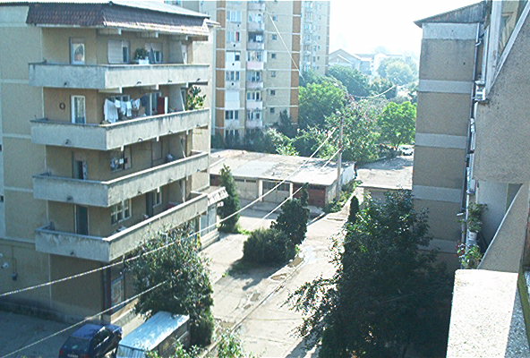 roste098.jpg