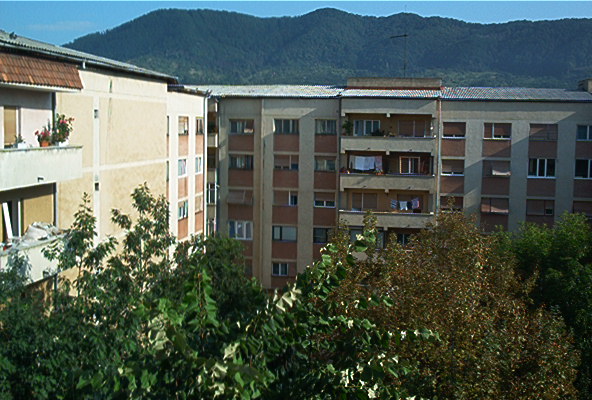 roste099.jpg