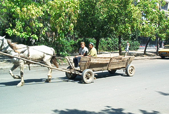 roste102.jpg