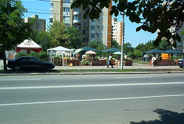 roste103.jpg
