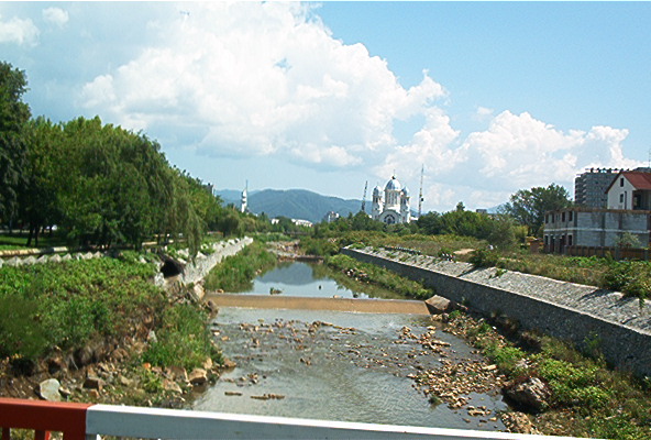 roste105.jpg