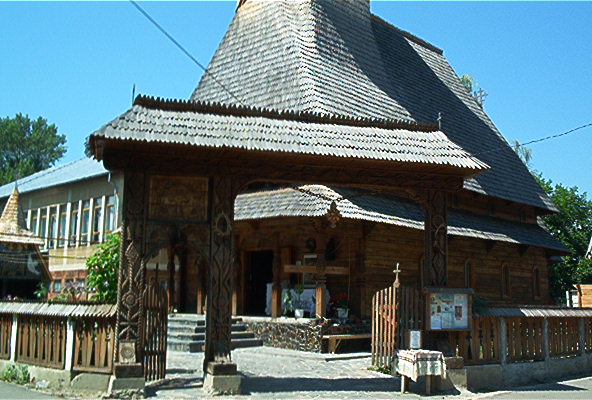 roste115.jpg