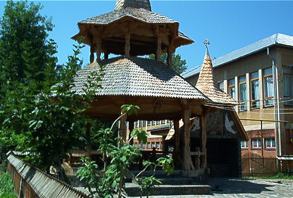 roste117.jpg