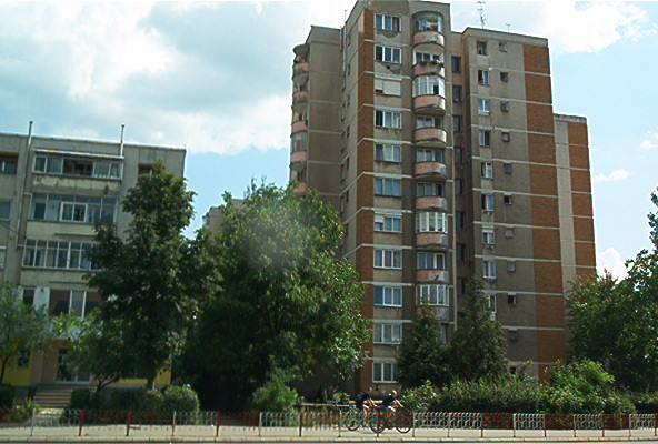 roste123.jpg