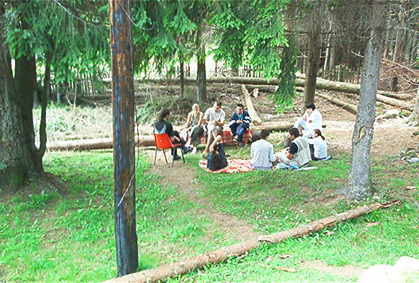 roste205.jpg