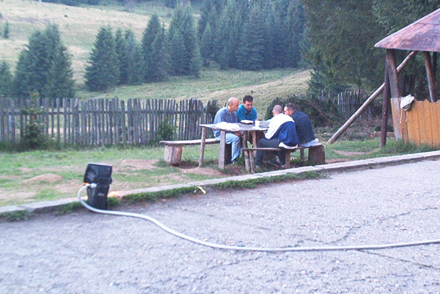 roste263.jpg