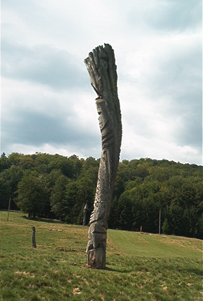 roste285.jpg