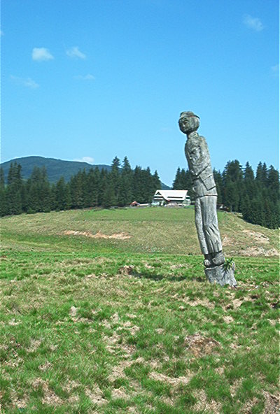 roste286.jpg