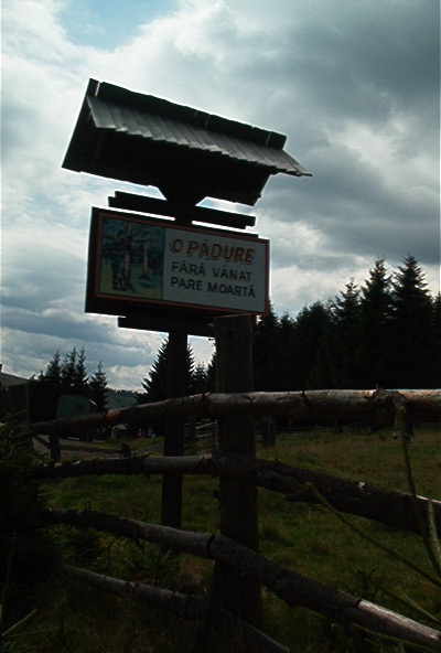 roste289.jpg