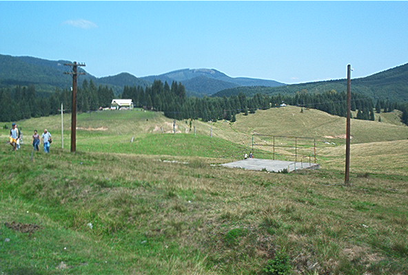 roste290.jpg