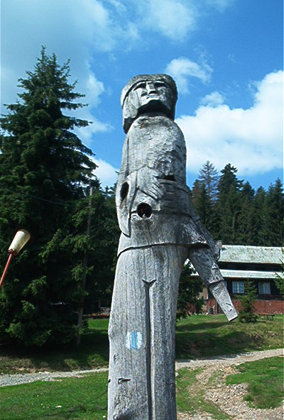 roste291.jpg