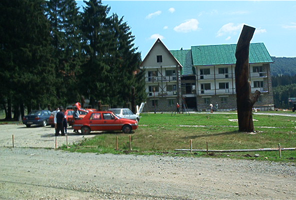 roste292.jpg