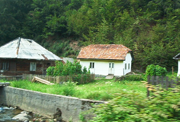 roste312.jpg