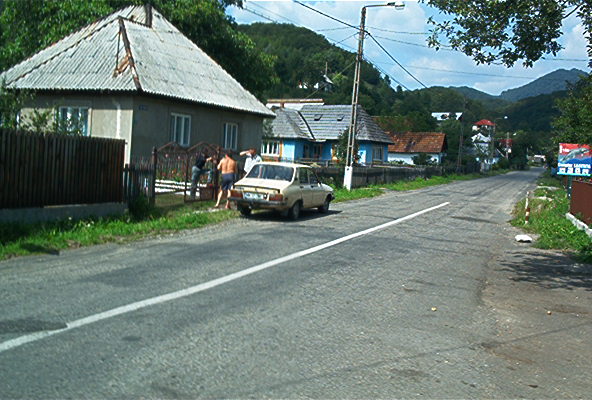 roste313.jpg