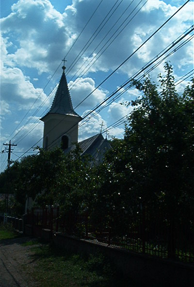 roste315.jpg