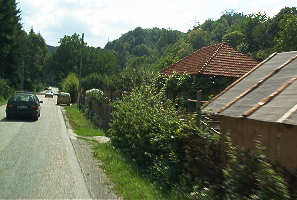 roste316.jpg