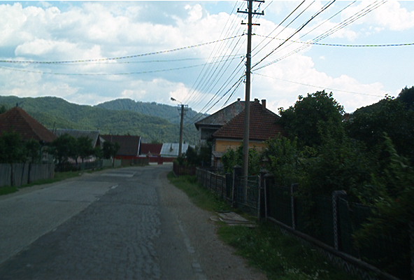 roste317.jpg
