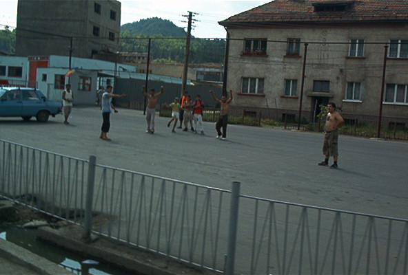 roste318.jpg