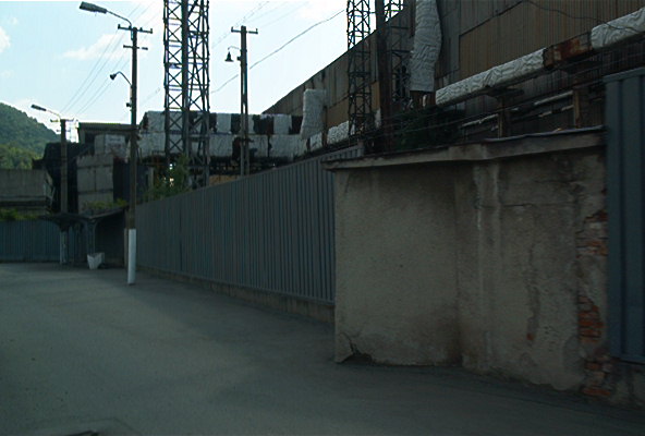 roste319.jpg