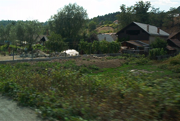 roste320.jpg