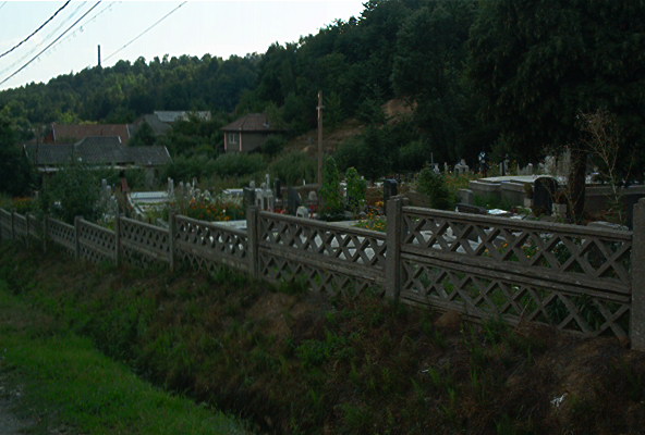 roste324.jpg