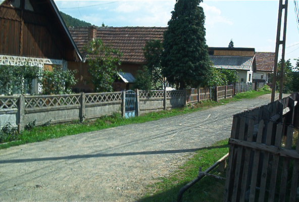 roste326.jpg