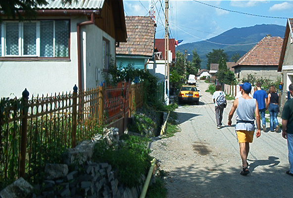roste327.jpg