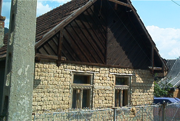 roste335.jpg