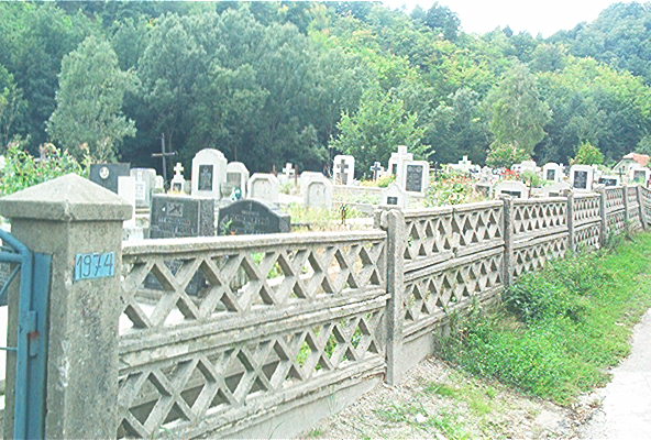 roste338.jpg