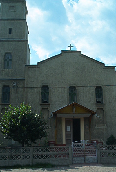 roste348.jpg