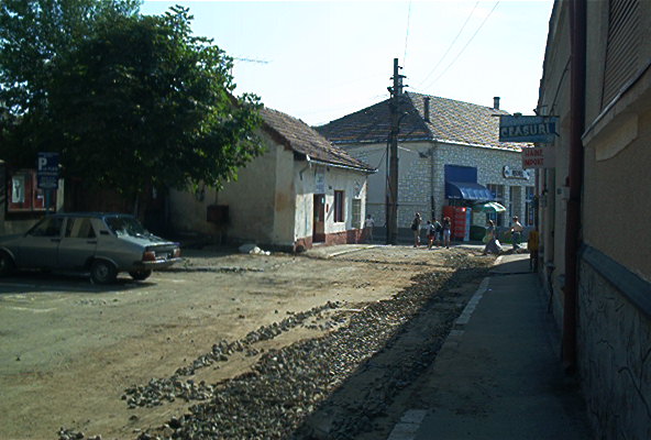 roste352.jpg