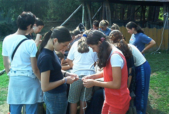 roste433.jpg