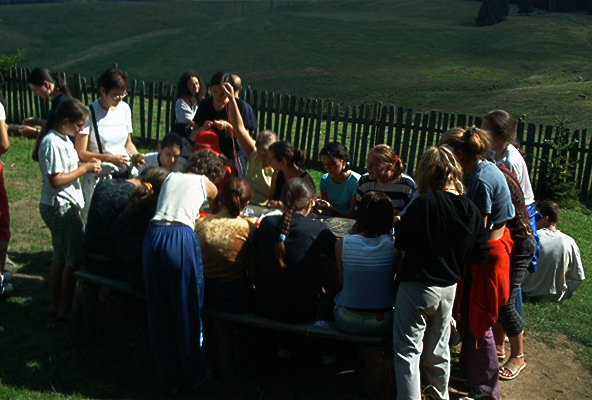 roste434.jpg