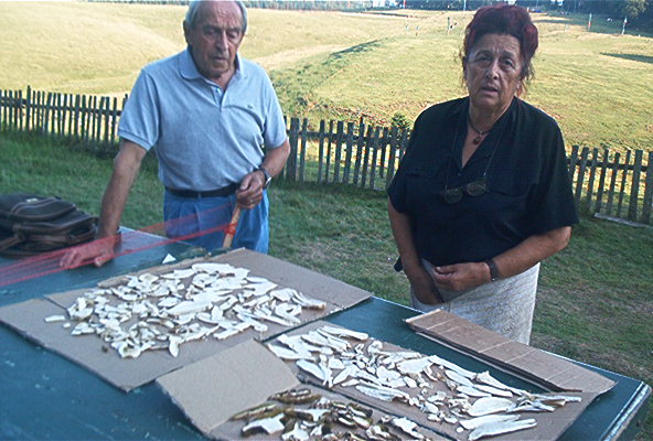 roste474.jpg