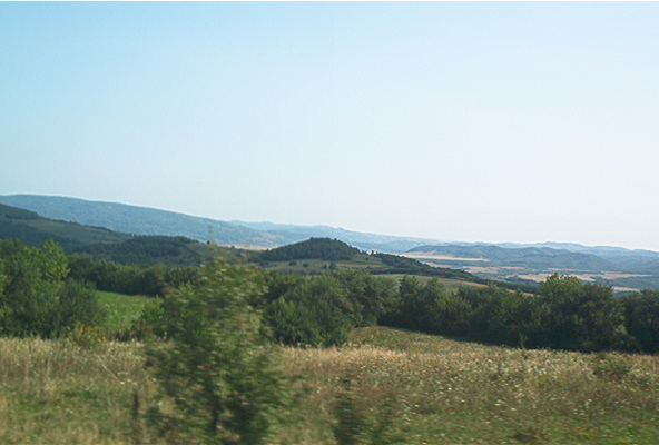 roste526.jpg