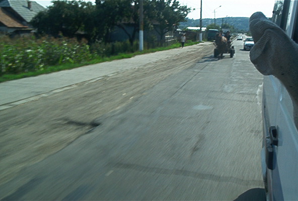roste530.jpg