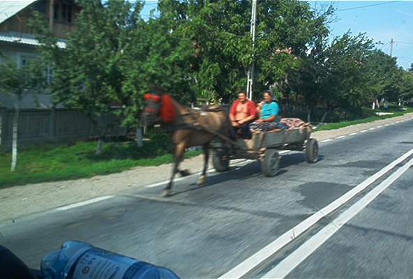 roste532.jpg