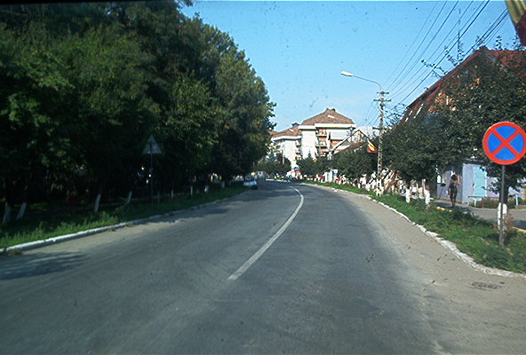 roste533.jpg