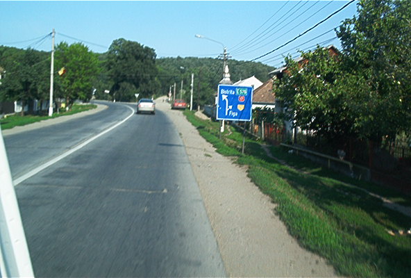 roste534.jpg