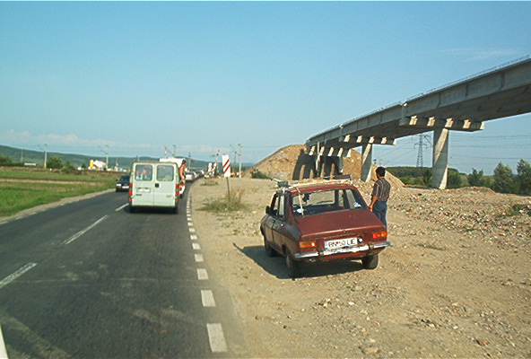 roste535.jpg