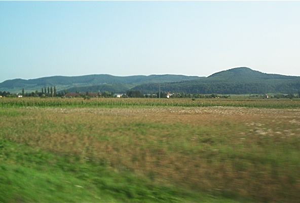 roste540.jpg