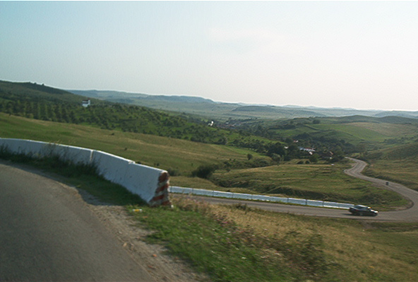 roste541.jpg