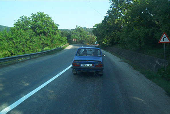 roste545.jpg