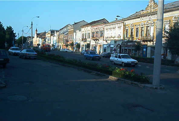 roste549.jpg