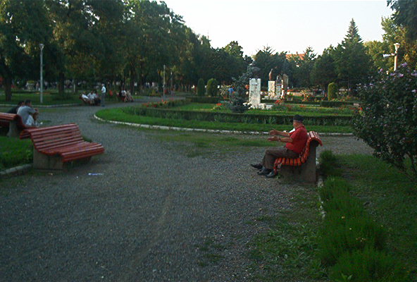 roste553.jpg