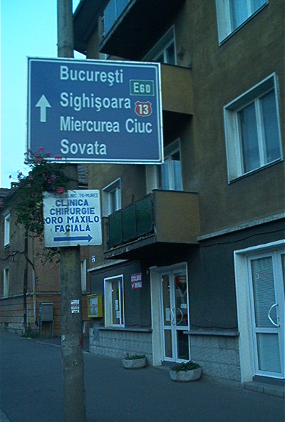 roste562.jpg