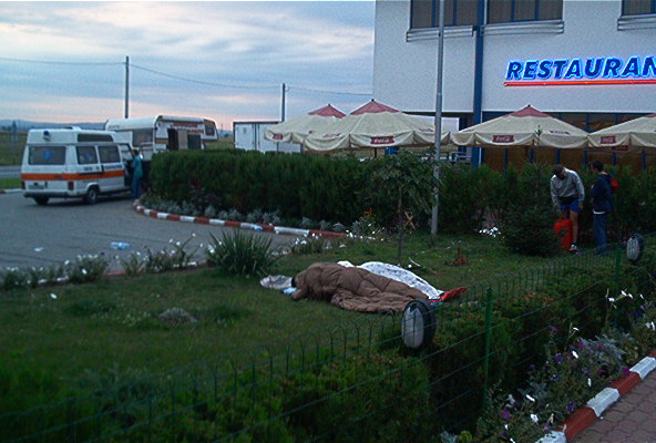 roste567.jpg